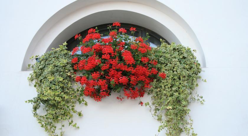 Al Bagolaro Bed & Breakfast Crocetta del Montello Ngoại thất bức ảnh