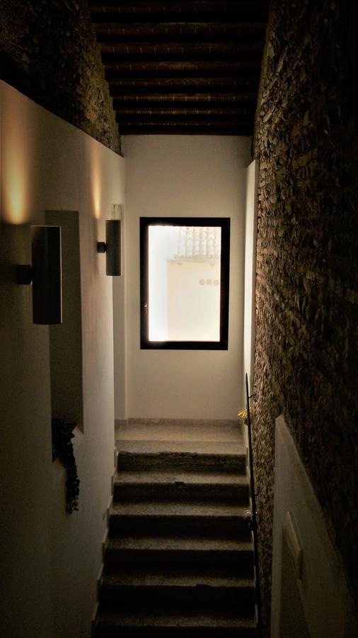 Al Bagolaro Bed & Breakfast Crocetta del Montello Ngoại thất bức ảnh